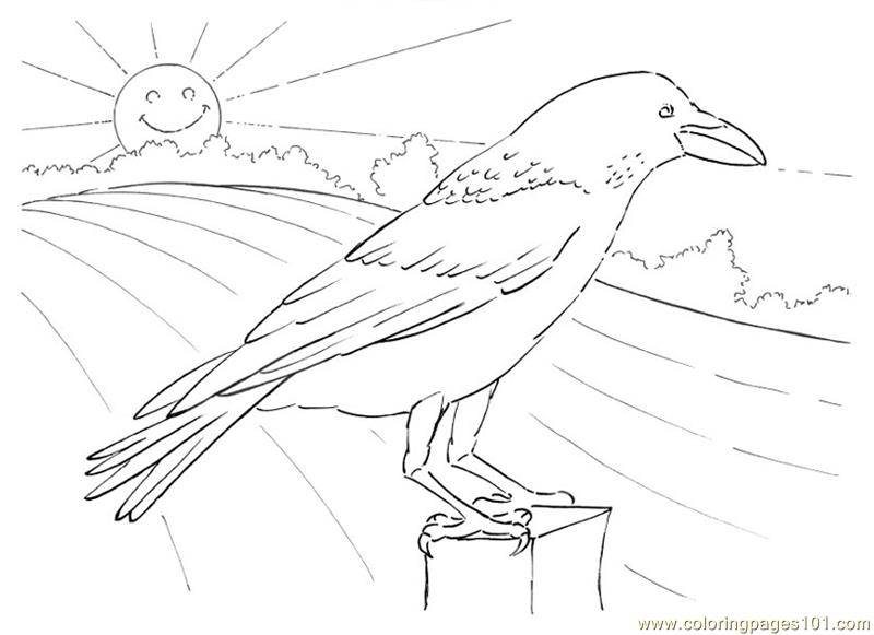 800x581 Crow Looking Coloring Page
