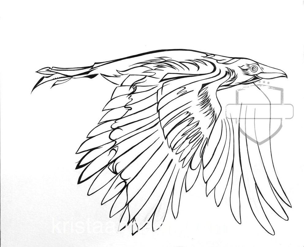 992x805 2014 Crow Line Work By Evekhaos