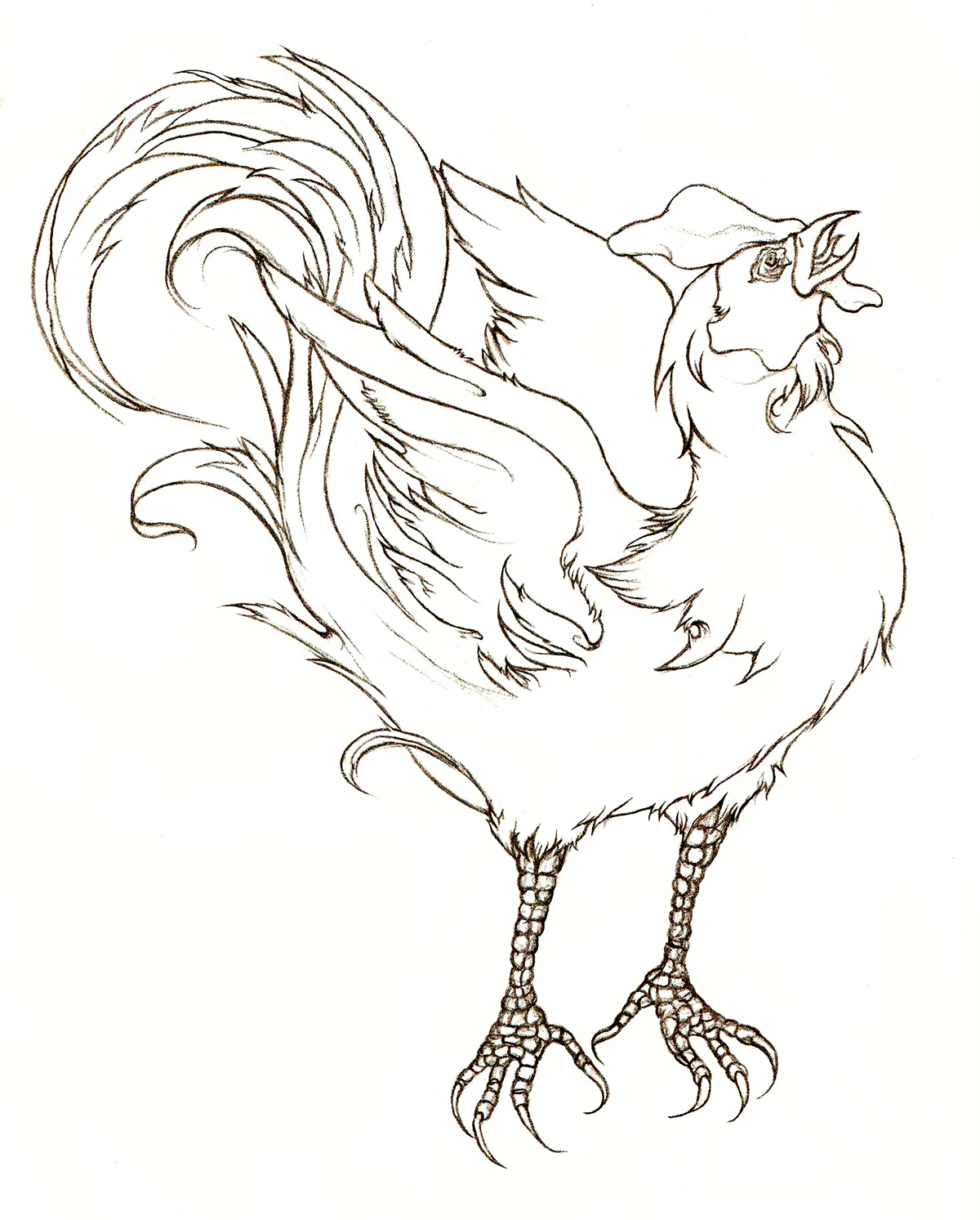 1200x1493 Natural Illustrations On Behance