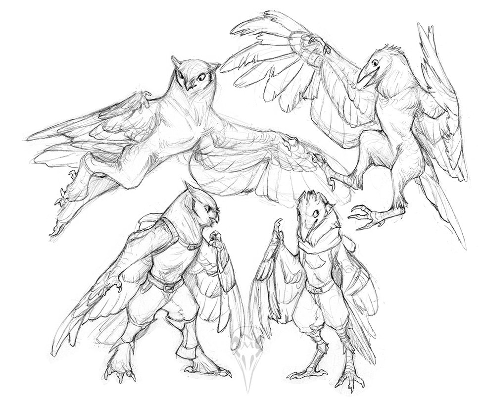976x818 Owl And Crow Stylized Sketches By Tashcrow