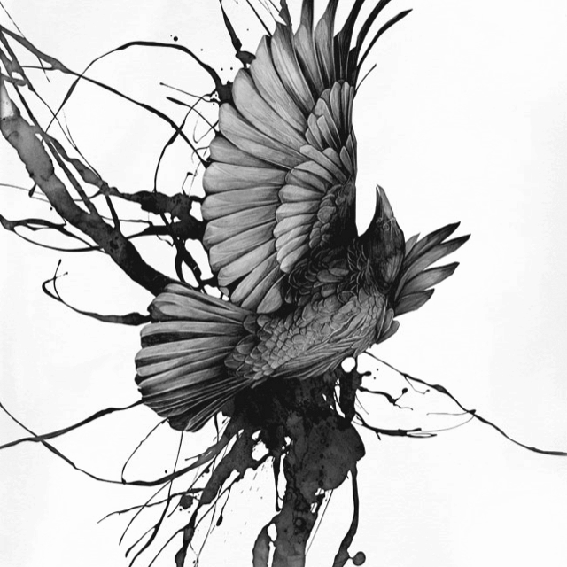 640x640 Pin By Cassondra Novak On Like Crows, Drawing Ideas