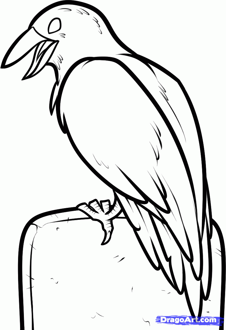 776x1132 How To Draw A Halloween Crow Step 8 Art Brimstone Rhine Album