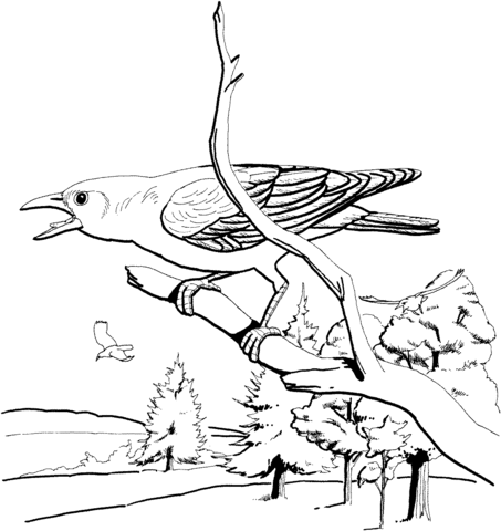 453x480 Perched Crow Coloring Page Free Printable Coloring Pages