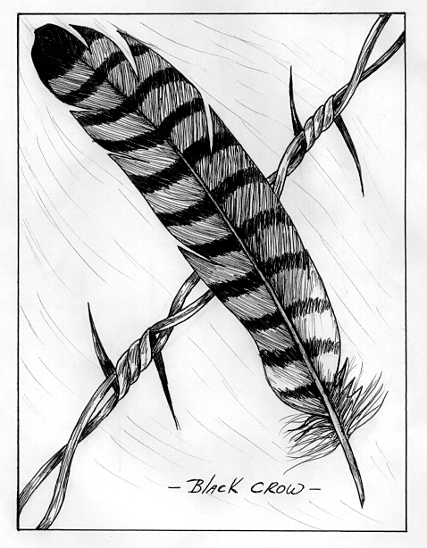 478x614 Black Crow's Feather Drawings