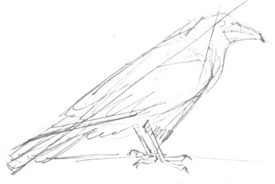 400x268 How To Draw A Raven Step By Step