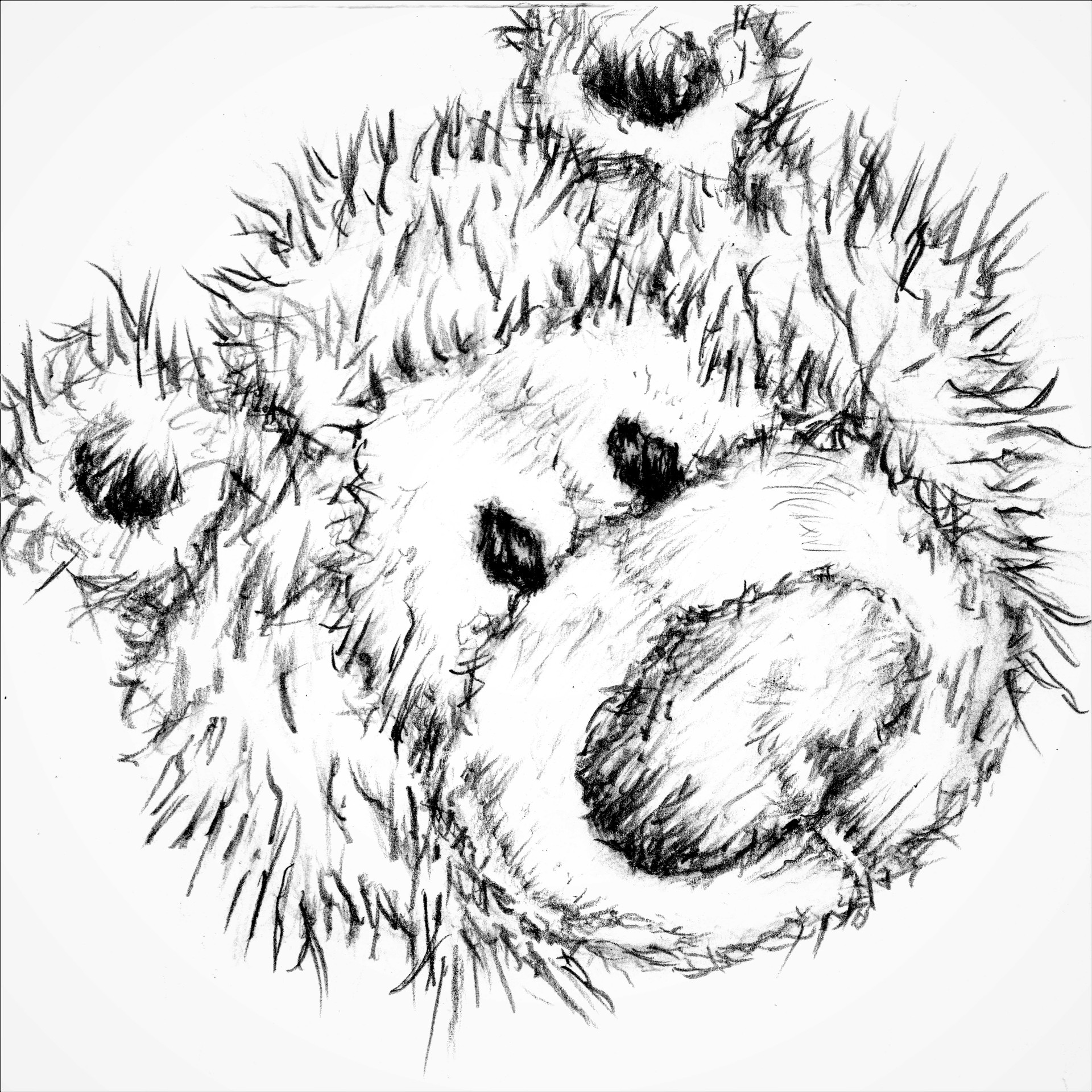 1920x1920 Artstation