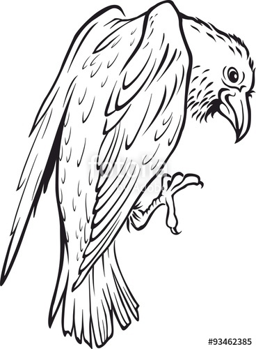 368x500 Sketch Of A Raven. Crow. Vector Illustration. Tattoo Style. Stock