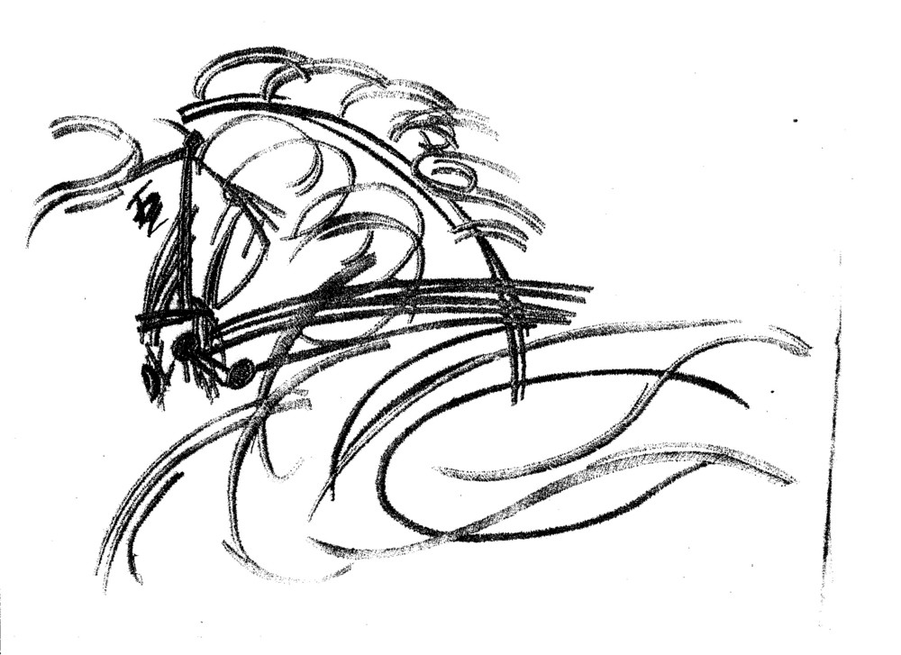 1000x727 Port Authority Jackets