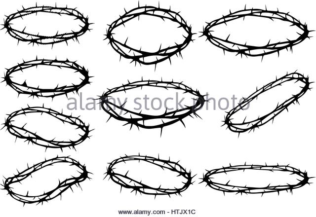 640x440 Crown Of Thorns Black And White Stock Photos Amp Images