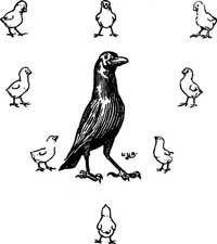 200x225 Johnny Crow's Party Corvid Corner