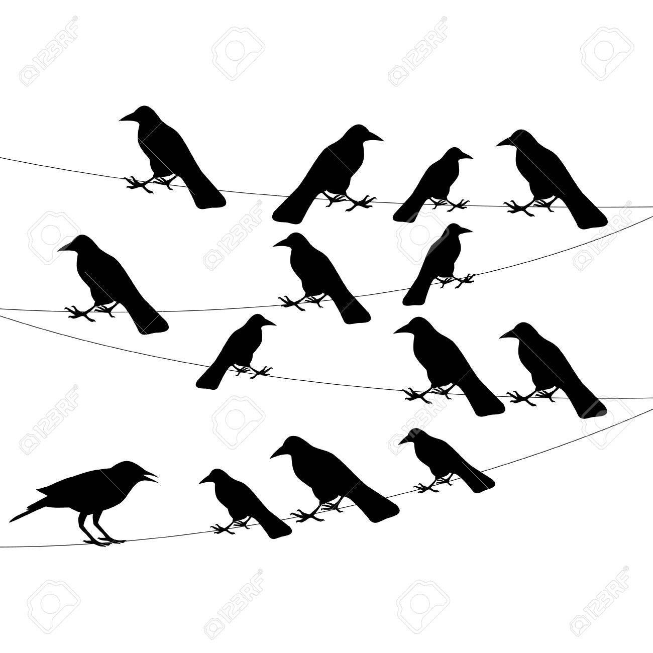 1300x1300 A Flock Of Crows On A Wire,illustration Royalty Free Cliparts
