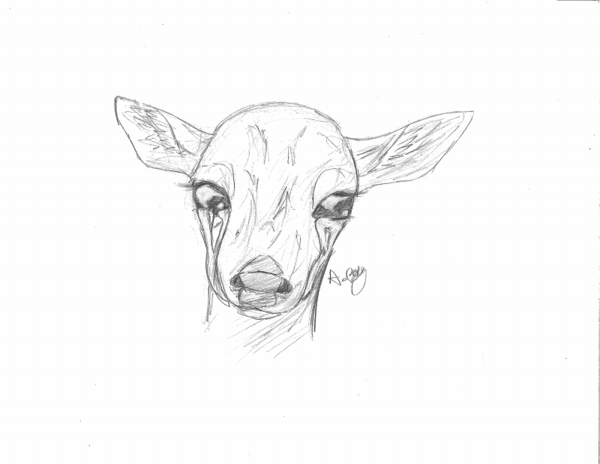 600x464 Crying Deer Thing [Request] By Thedragonofdeath