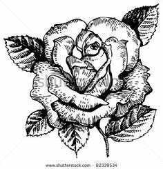 236x245 Crystal Ball Drawing