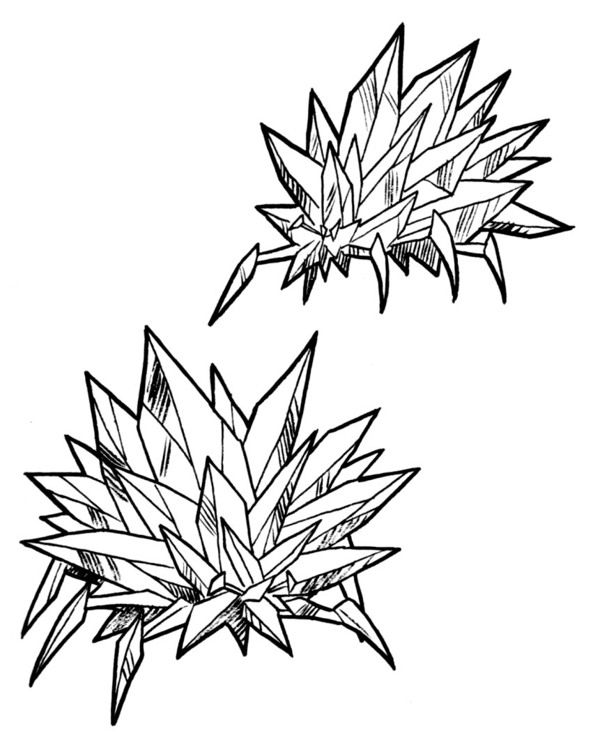 851x1065 Crystal Barnacle Wookieepedia Fandom Powered By Wikia