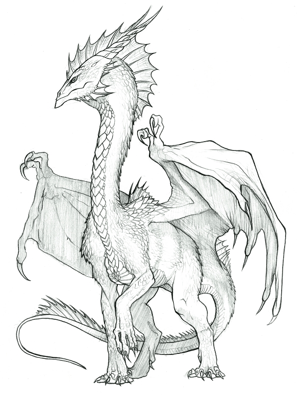 600x798 Sekkai Crystal Dragon By Kaiserflames