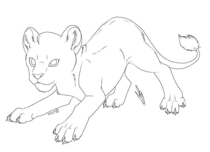 800x579 Free Use Cub Lion By Nightpunkm