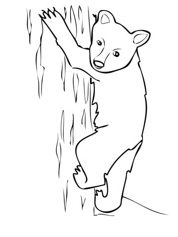 360x480 American Black Bear Cub Coloring Page Free Printable Coloring Pages