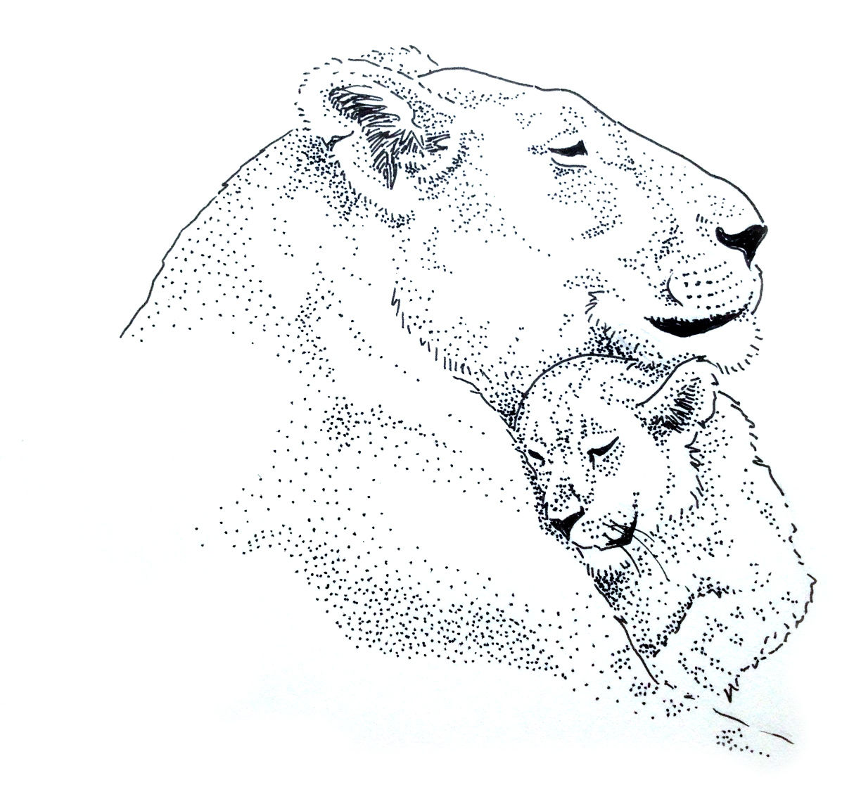 1224x1126 Lioness And Her Cub