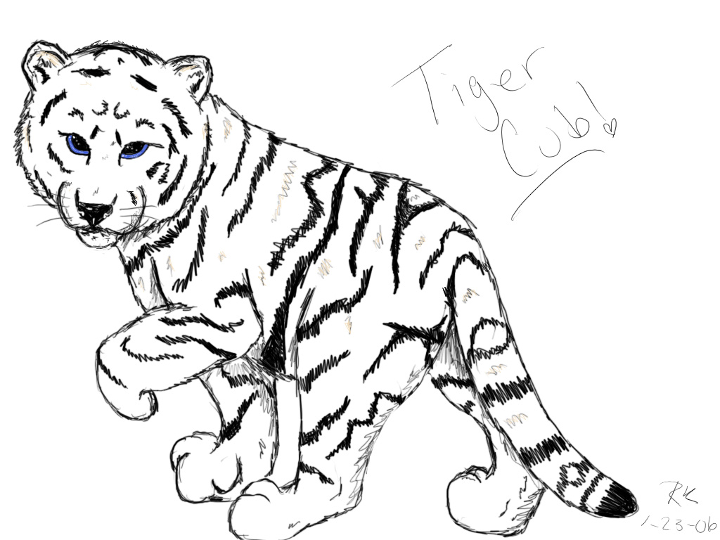 1024x768 White Tiger Cub By Rakrebs