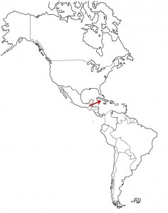 236x300 The Flag Of Cuba Inside Mexico