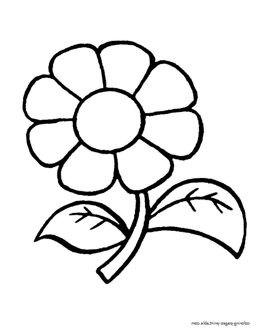 895x1155 Drawing Of Nature Easy For Kids With Colouring Easy Coloring Pages