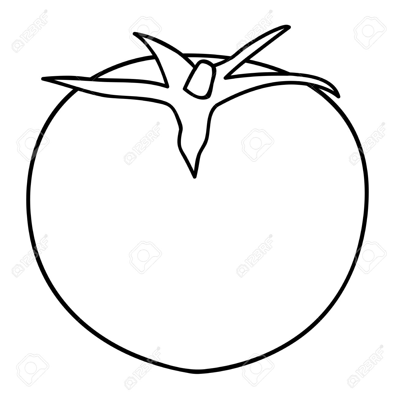 1300x1300 Sketch Line Drawing Of Tomato Isolated Illustration On White