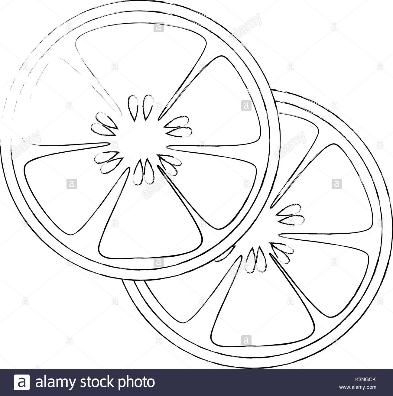 1300x1310 Cucumber Slice Black And White Stock Photos Amp Images