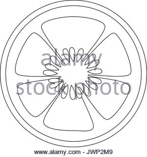 300x320 A Black And White Illustration Of Sliced Cucumber Stock Photo