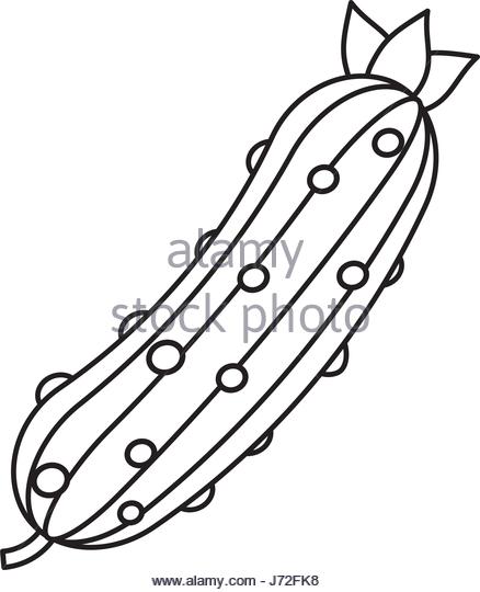 438x540 Cucumber Black And White Stock Photos Amp Images