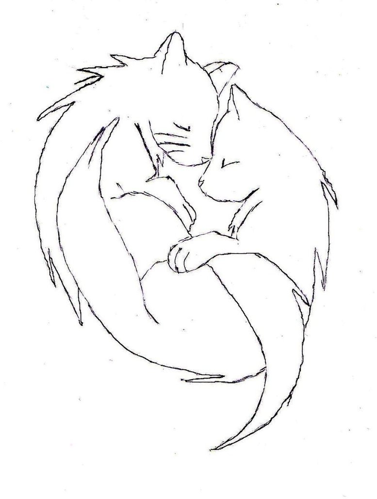 777x1027 Cat Cuddle By Neko Byakuya
