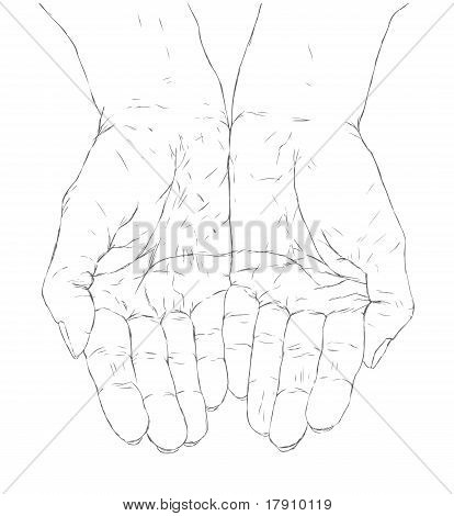 414x470 Cupped Hands Vector Amp Photo Bigstock