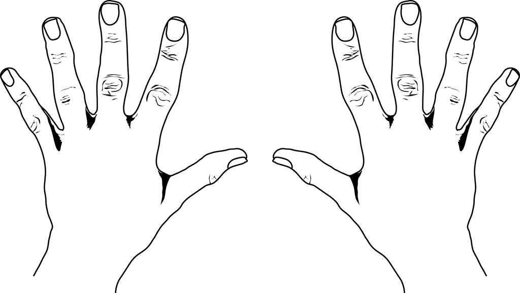 1024x577 Pair Clipart Quiet Hand