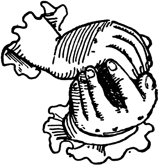 614x640 Cupped Hands Clipart Etc