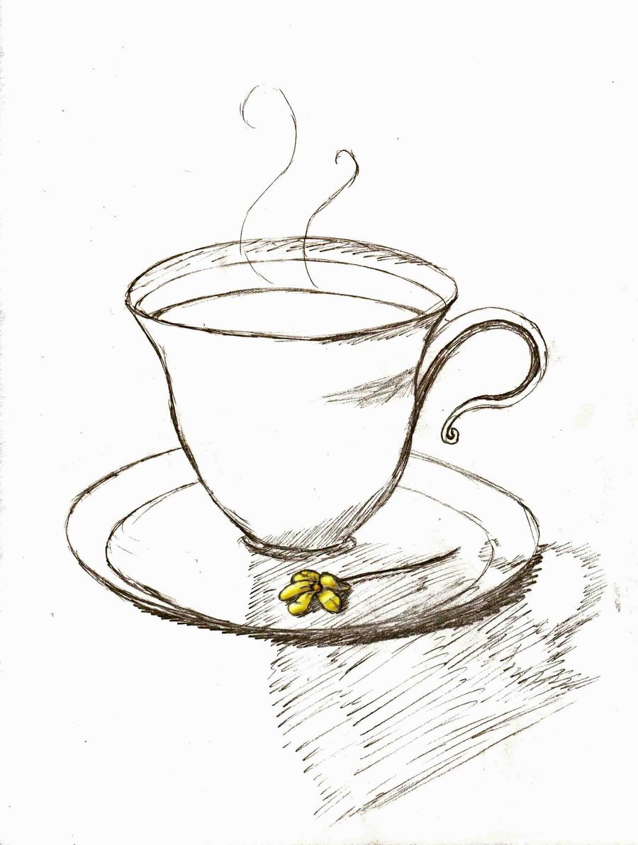 900x1193 Teacup Drawing