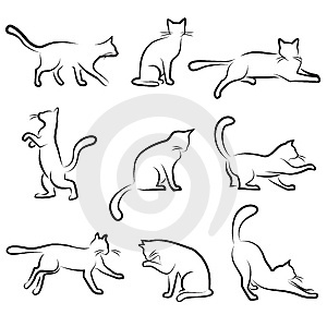Curled Up Kitten Coloring Pages 10