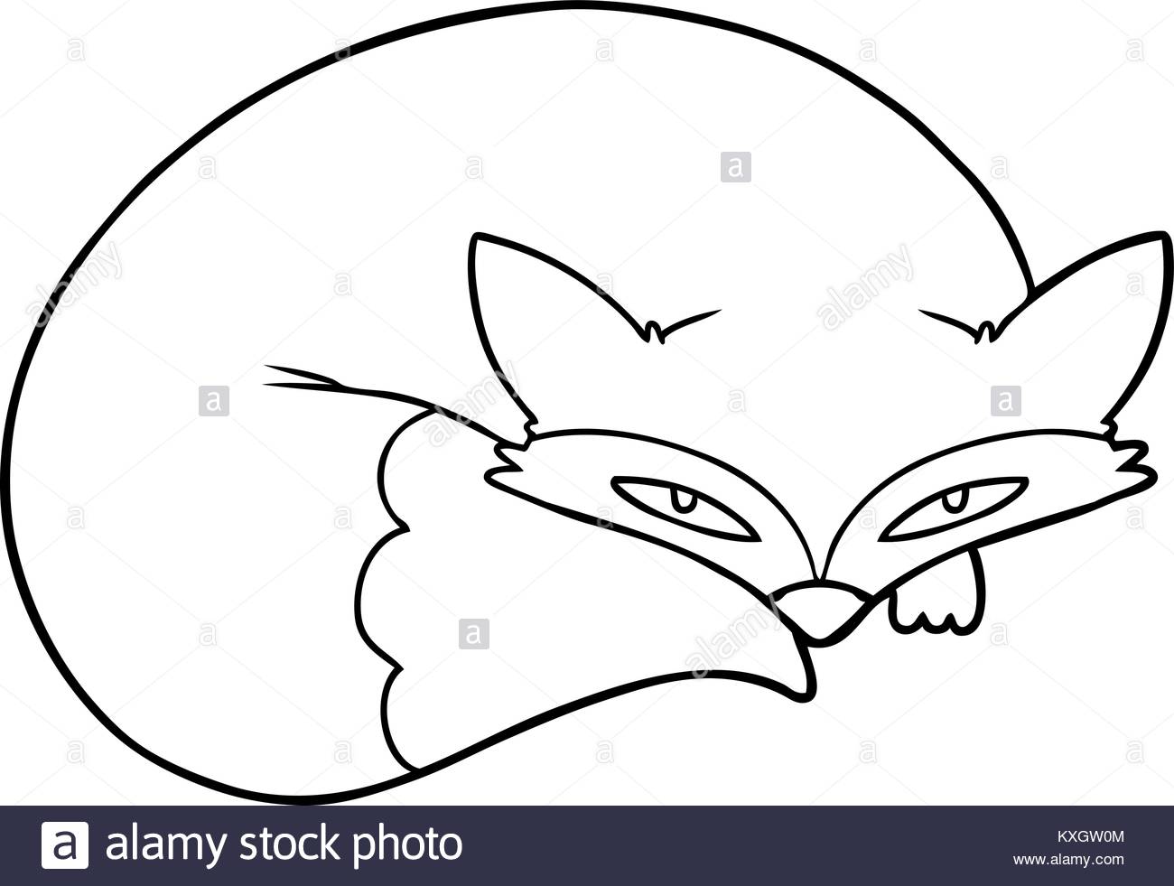 1300x981 Curled Up Stock Vector Images