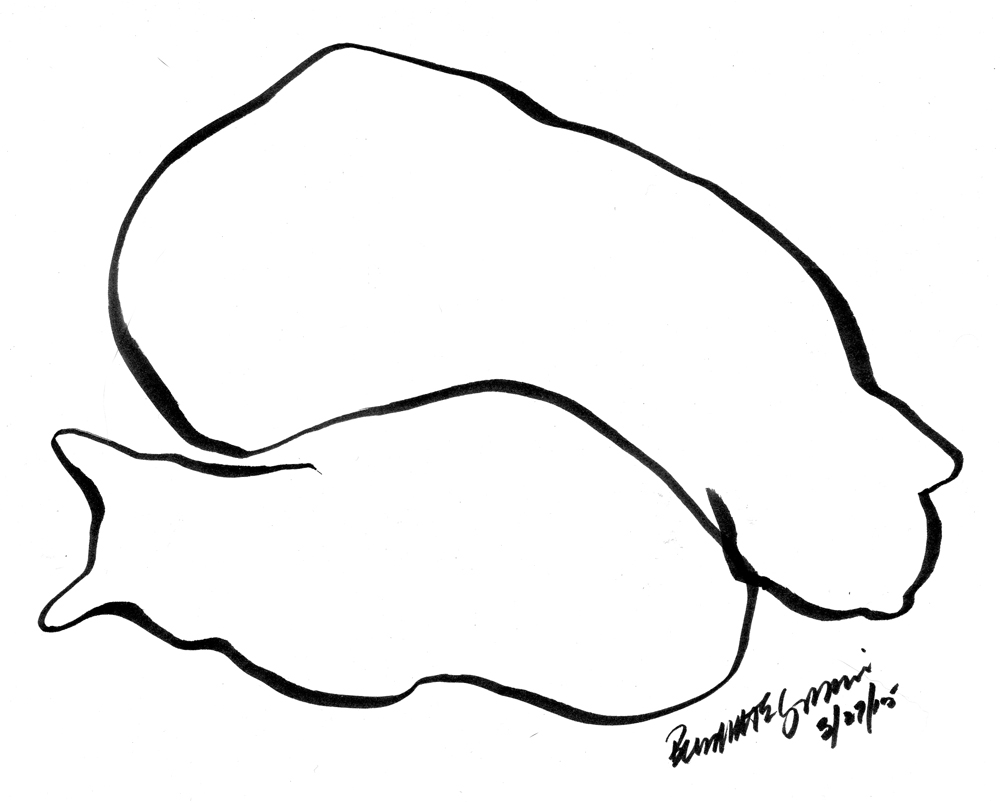 1000x803 Daily Sketch Wood And Cardboard And Cat, 2013 ~ The Creative Cat