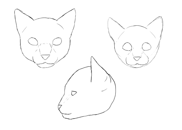 600x430 How To Draw Animals Cats And Their Anatomy