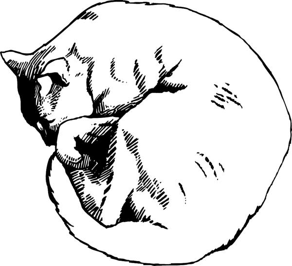 600x546 General Decals