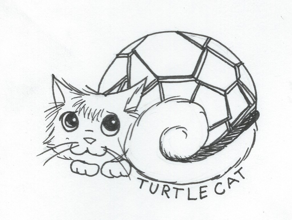 1024x771 Turtle Cat Curled Up For The Night By Bjakasaintjimmy