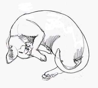 326x295 Art By Jeane Nevarez Cat