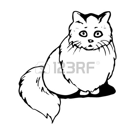450x450 Cat Curled Up, Abstract Vector Illustration On White Background