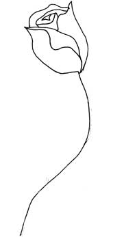 200x347 Rosenoleafcenters.jpg