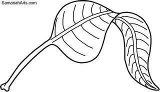 320x184 Drawing A Leaf That Is Twisting