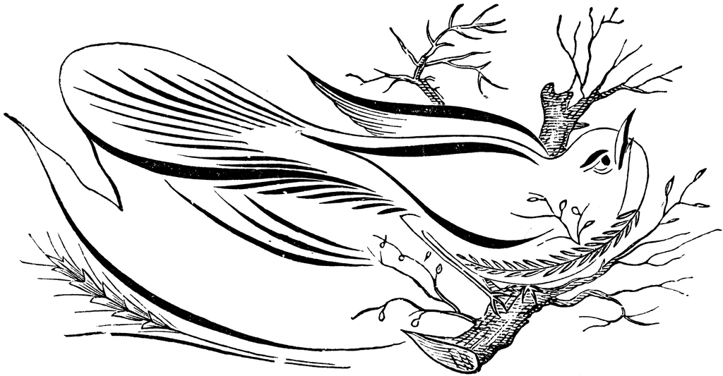 1024x533 Curved Banner Clipart Etc