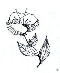 236x287 Drawing, Inspired By . Feather, Draw, Graphic