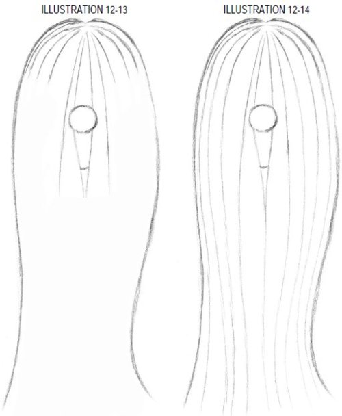 500x608 Comic Reference Long Straight Hair