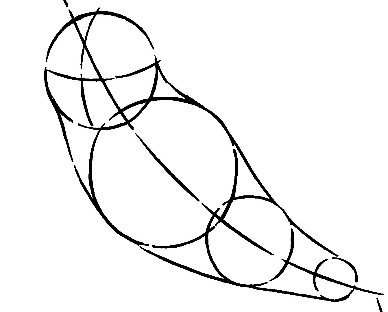 1342x1081 How To Draw A Barn Owl