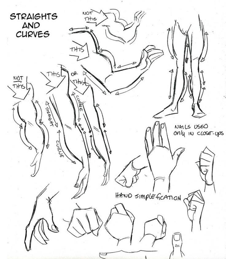 736x842 Drawing Arms Amp Legs [Straight Vs Curves] By Steven E. Gordon
