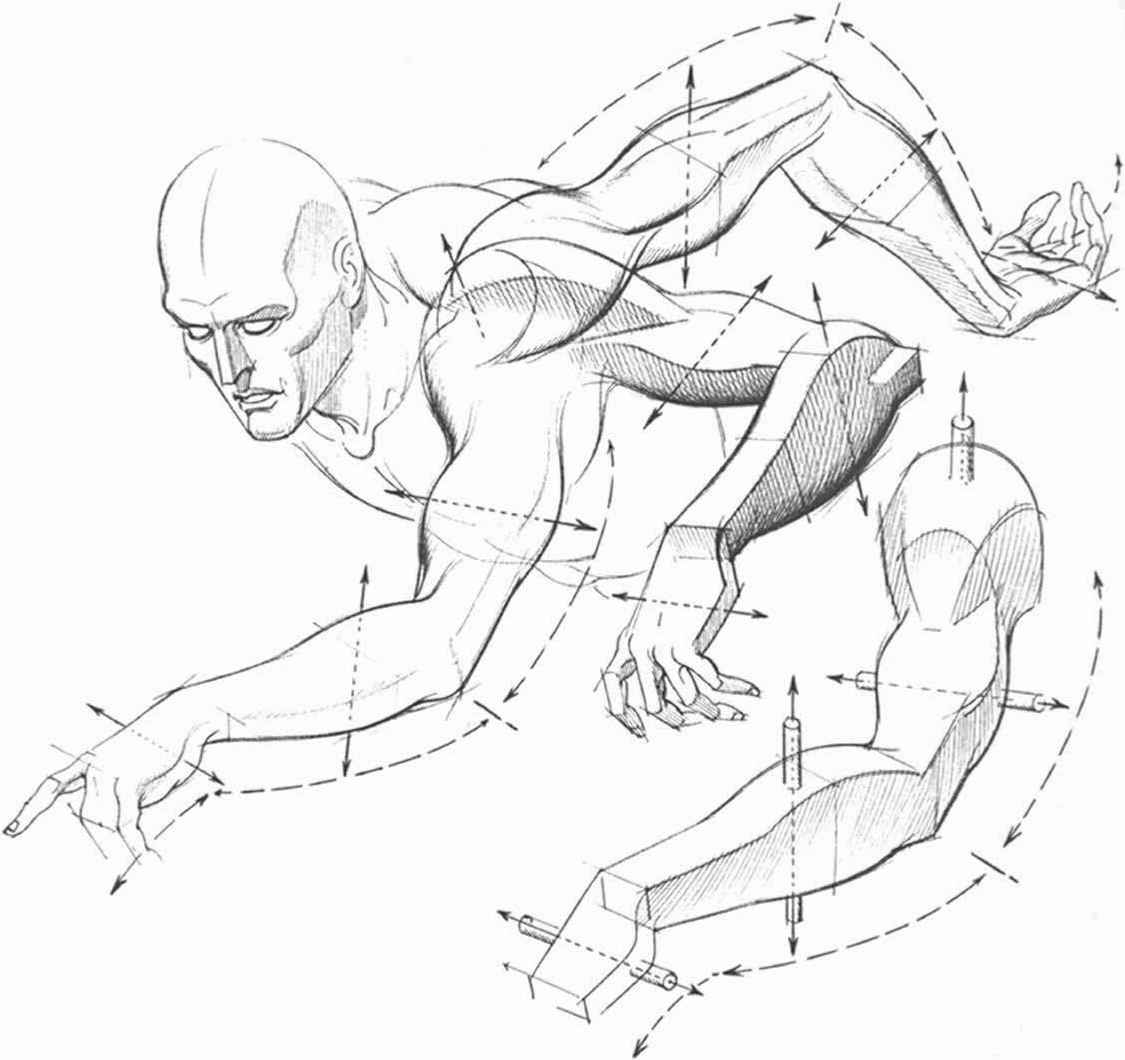 1125x1060 Forms And Structures